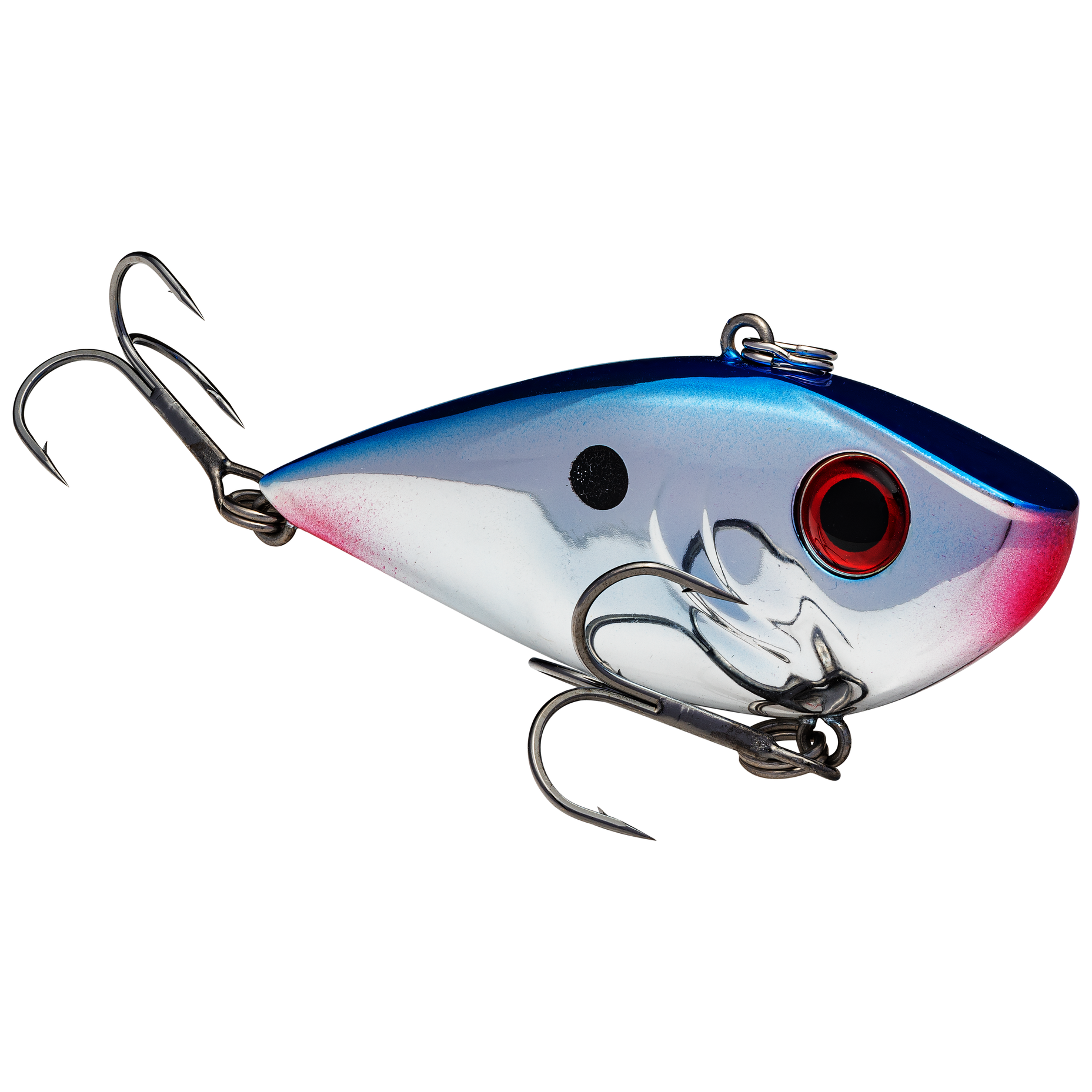 Red Eyed Shad