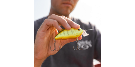 Testing a Transparent Chartreuse ￼color for Baits. 