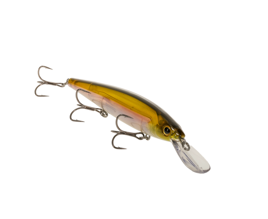 10 Pack Realistic Look Plastic Artificial Fishing Lures for Bass Fishing